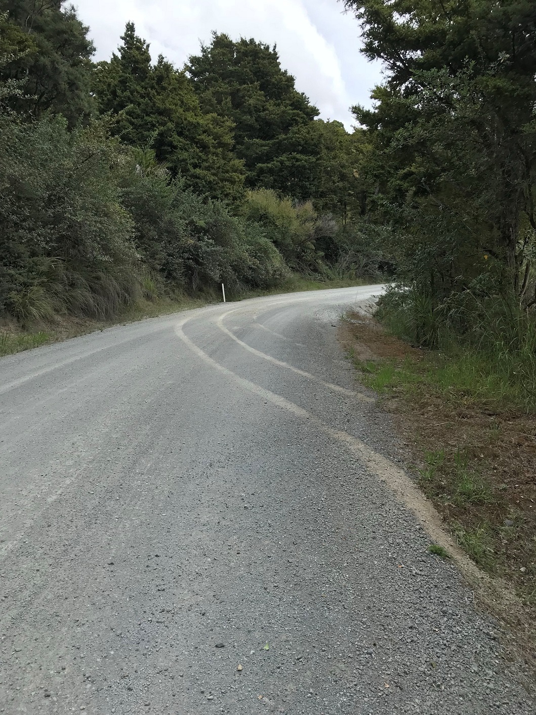 グラベルロード２.jpg#asset:497